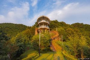 3557848 image3 1 예스키즈존 탐험대 : 실패 없는 육아여행