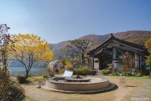 호수정감(더 정감)