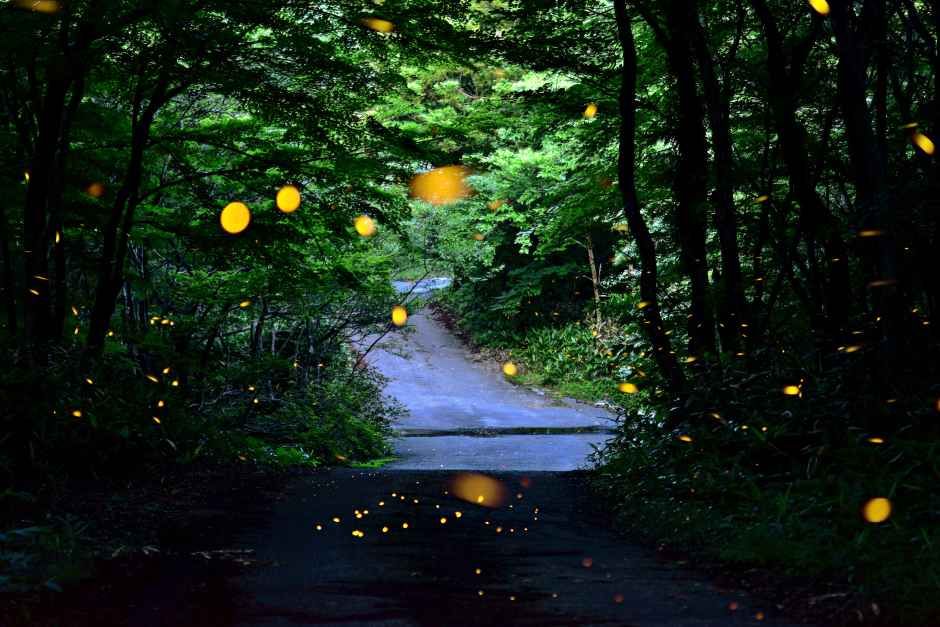 서귀포 예래생태마을