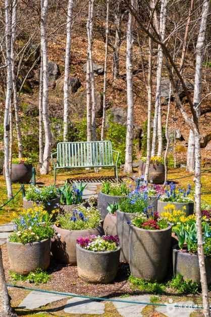 4058648 image2 1 예스키즈존 탐험대 : 실패 없는 육아여행