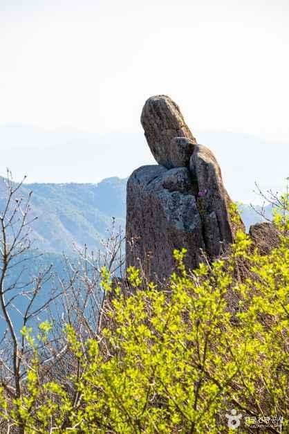 대견사