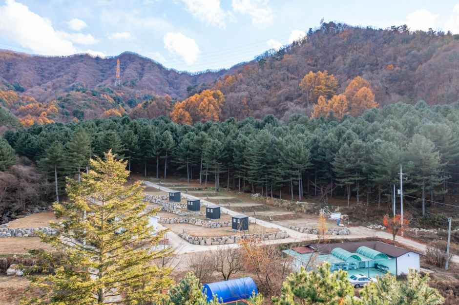 모짜르트