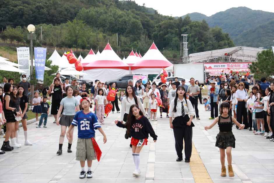 진안홍삼축제