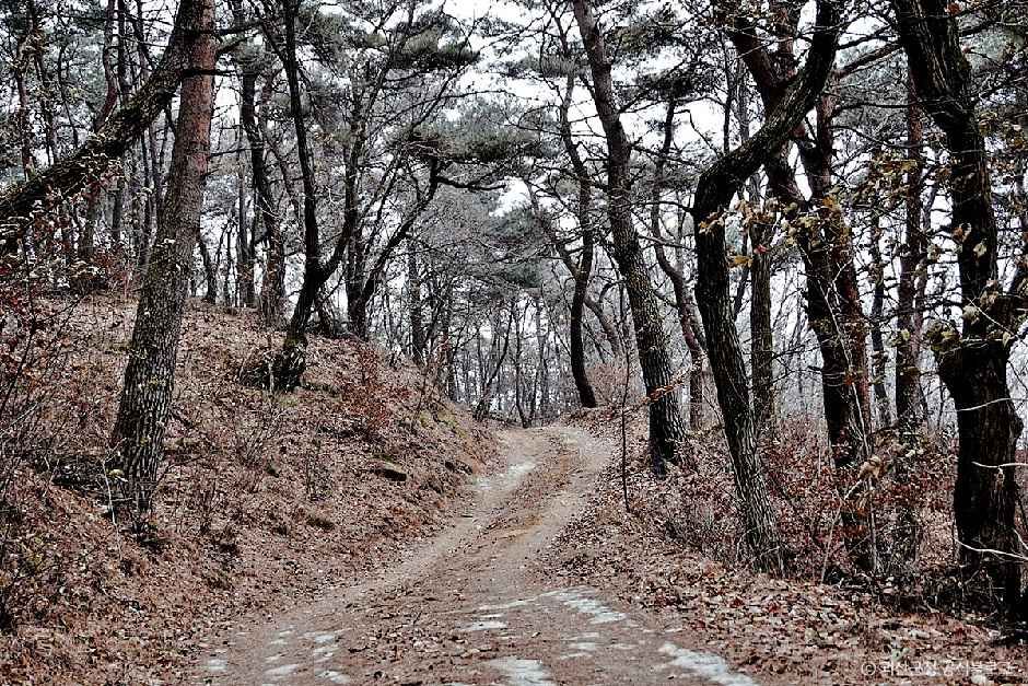 백마산