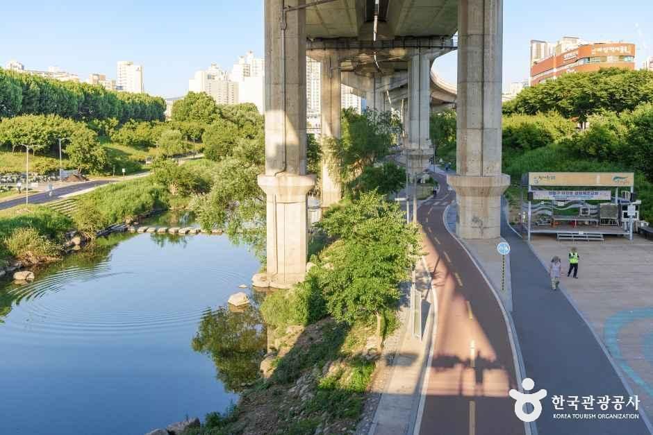 Cheonggyecheon Bicycle Path