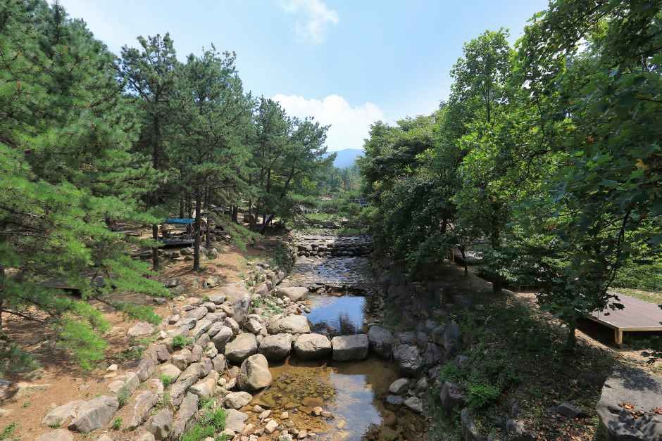 성주봉자연휴양림 야영장
