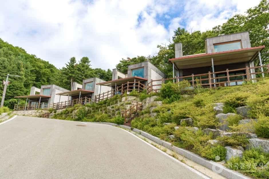 한여울팜파크 글램핑장