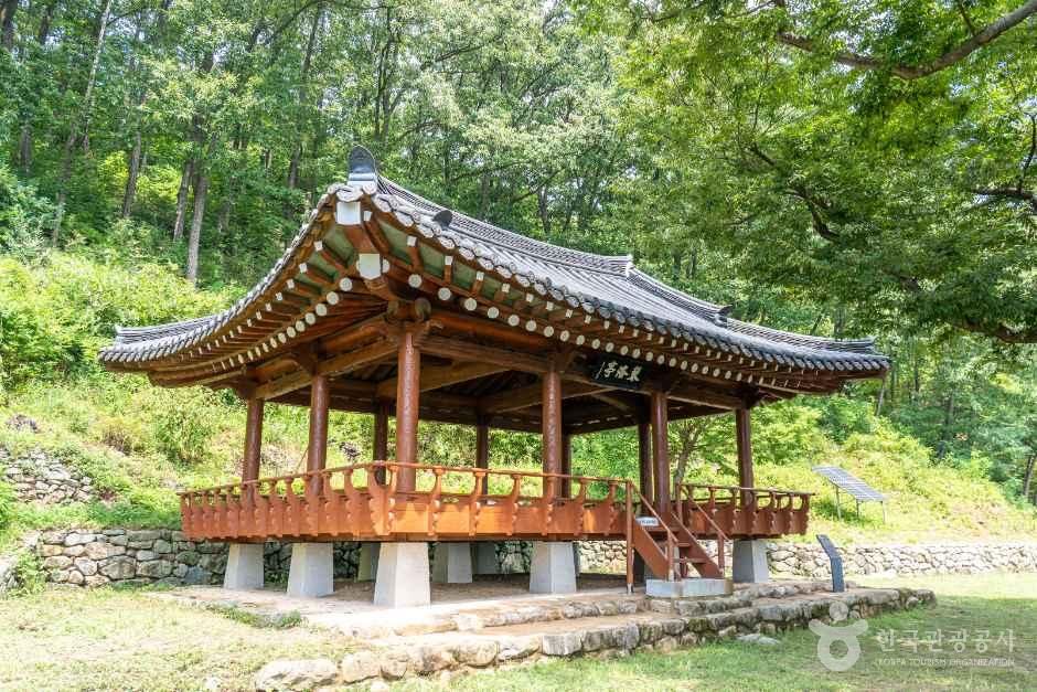 금낙정