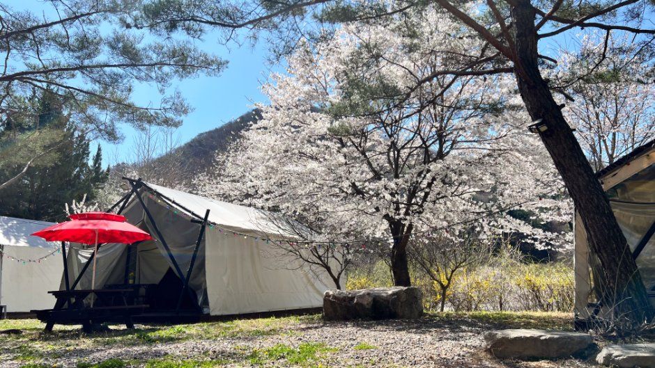보리산캠핑장
