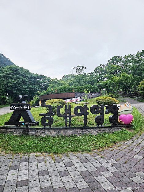 치악산국립공원 금대야영장