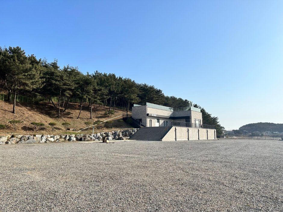 젤리캠핑