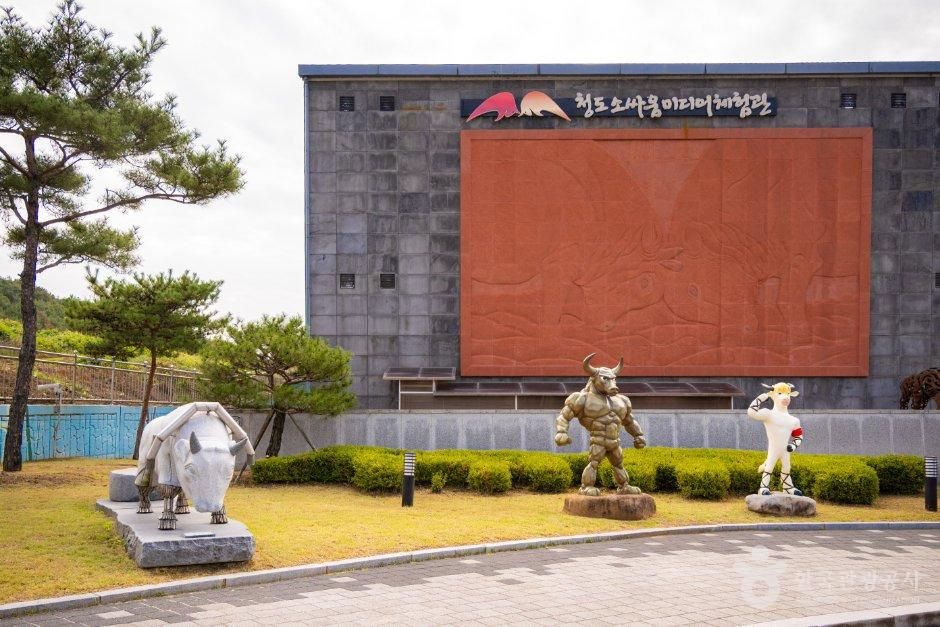 청도소싸움미디어체험관