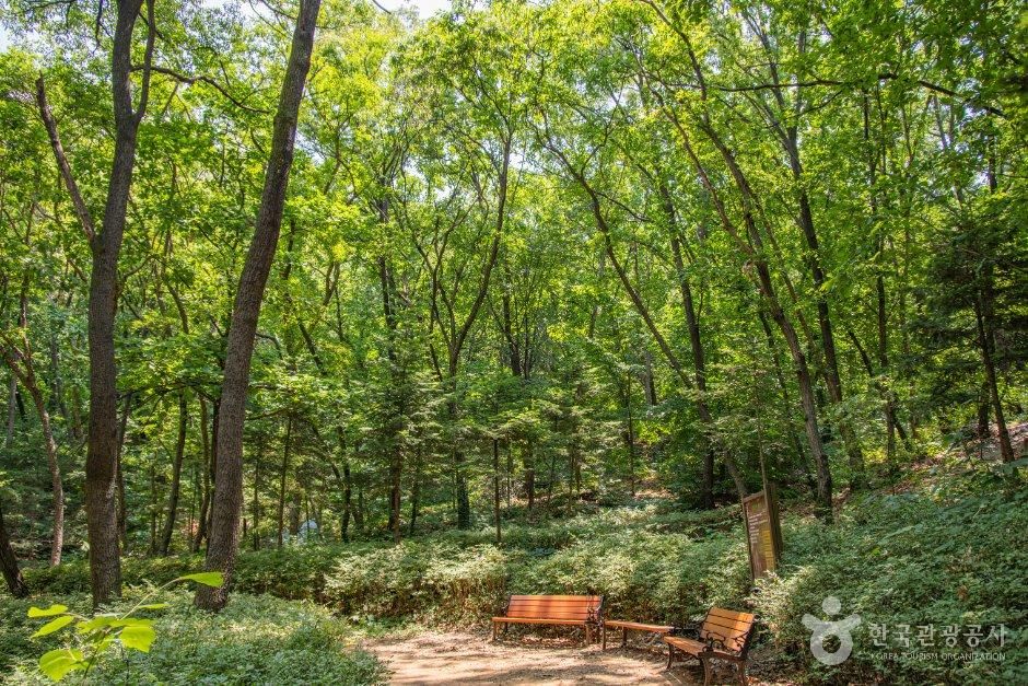 구름산 산림욕장(구름산 도시자연공원)