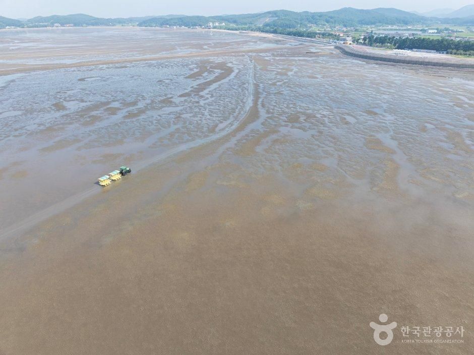 충남_서천군_선도리갯벌체험마을 (7).jpg