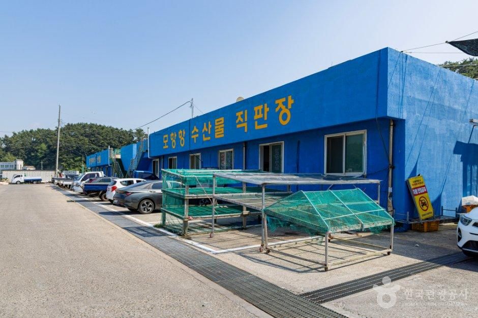 태안_모항항수산물직판장 (1).jpg