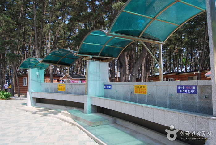 춘장대해수욕장 춘장대해수욕장