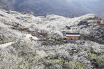 光陽 梅花村