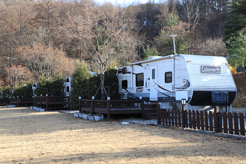 楊平樹木園キャンプ場