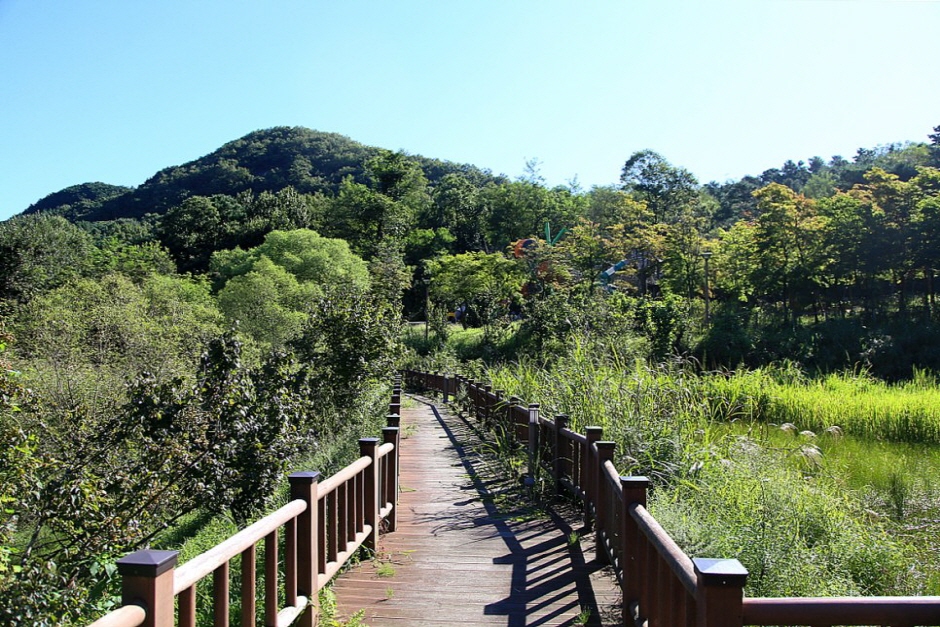 元水山湿地生态园