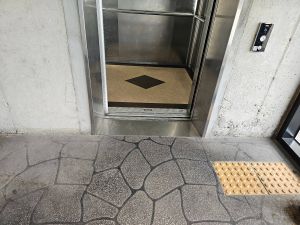 시지본카페 사진 8