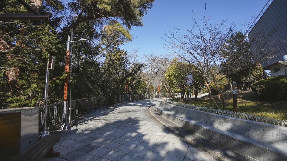 帝皇山公园