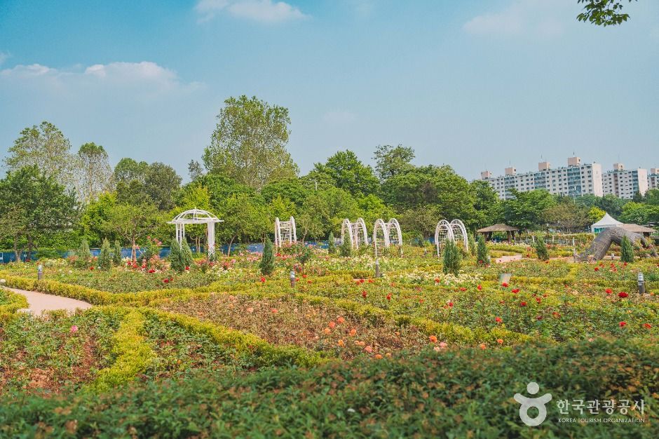 龍山家族公園