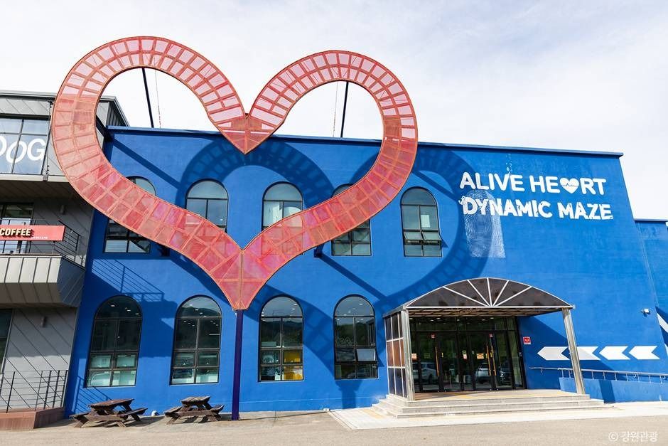 束草 Alive Heart
