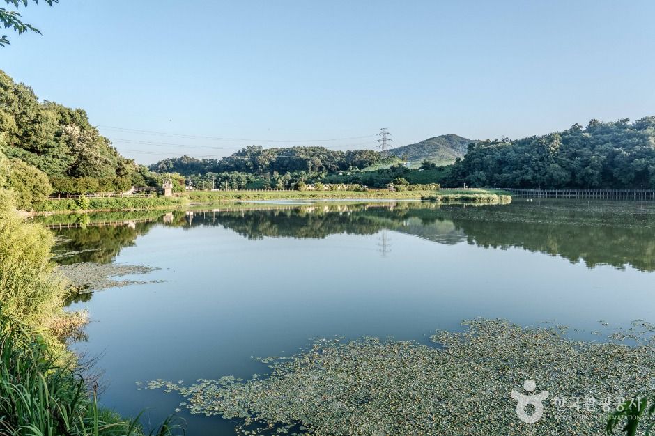 中大水光公園