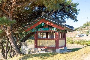 제천 시곡리 석조여래입상 사진 5