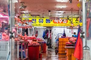 서울_독산동 우시장 (2)