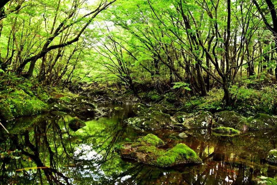 서귀포 예래생태마을