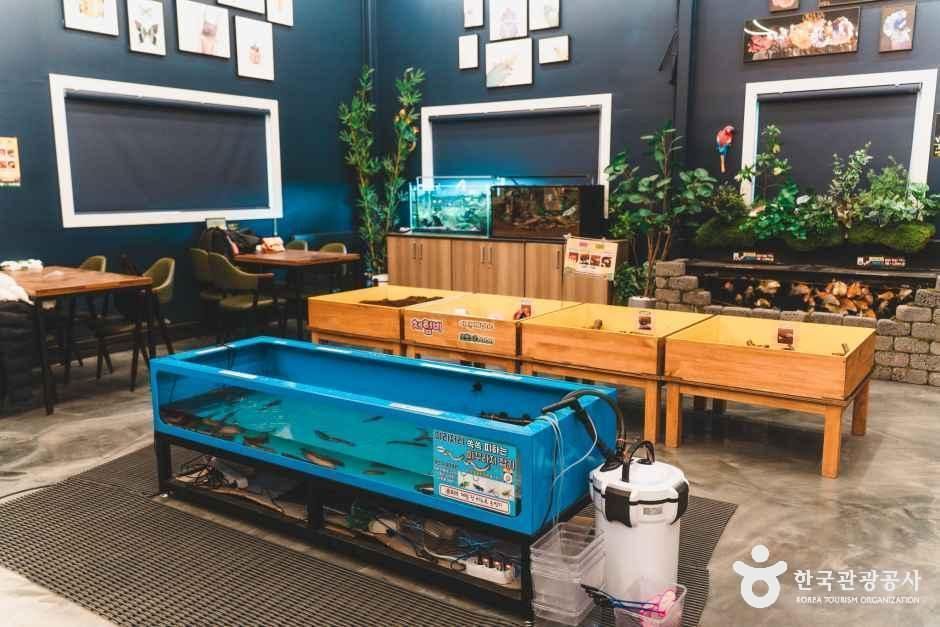 참좋은굼벵이 곤충농장