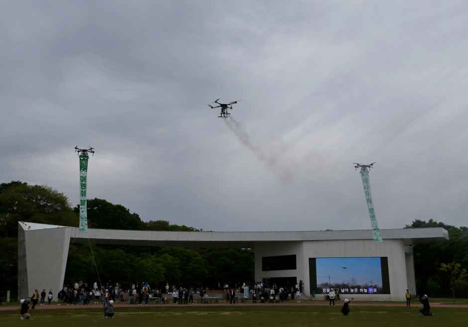 담양 대나무축제