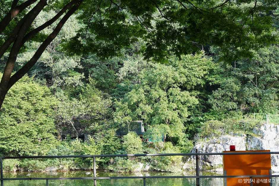 밀양_알프스캠핑장 (2).jpg