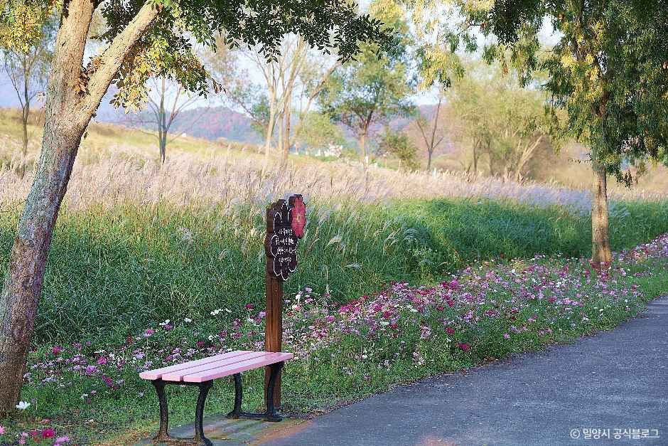 밀양_초동연가길 (3).jpg