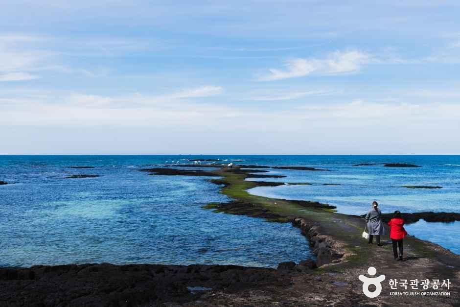 제주_떠오르길&middot;김녕 바닷길_외부_4.jpg