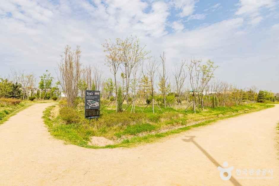 인천_계양구_계양꽃마루 (2)