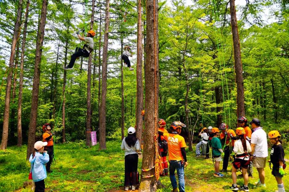 제12회 하늘숲길 걷기축제