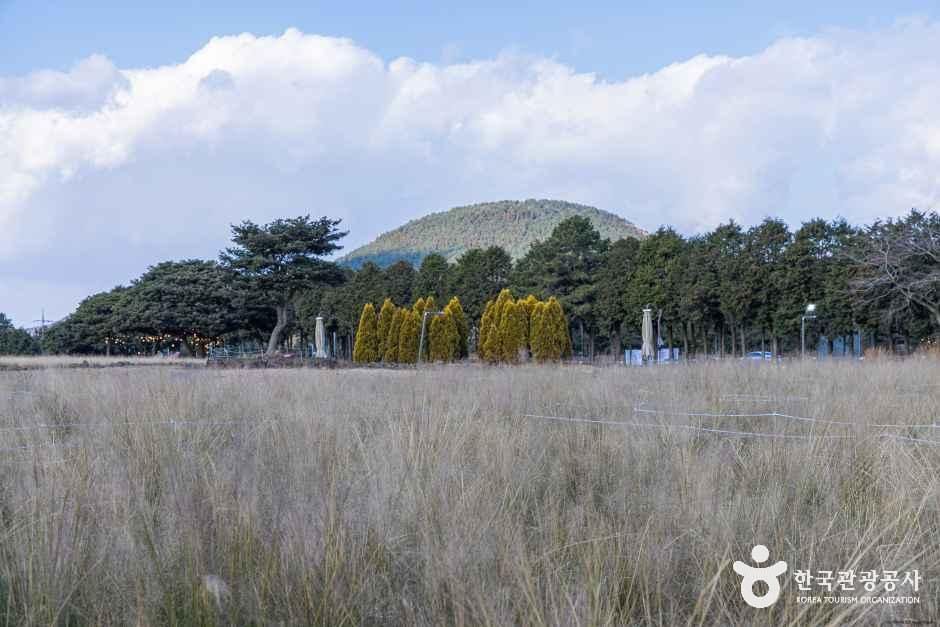 제주_카페 글렌코 (2).jpg