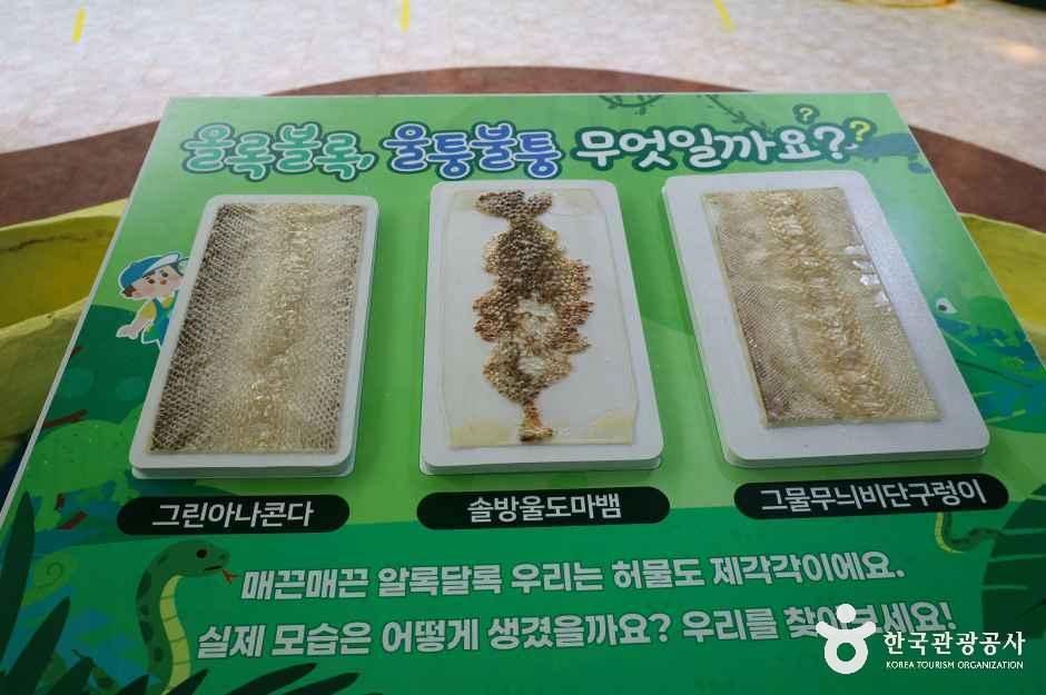 함평양서파충류생태공원