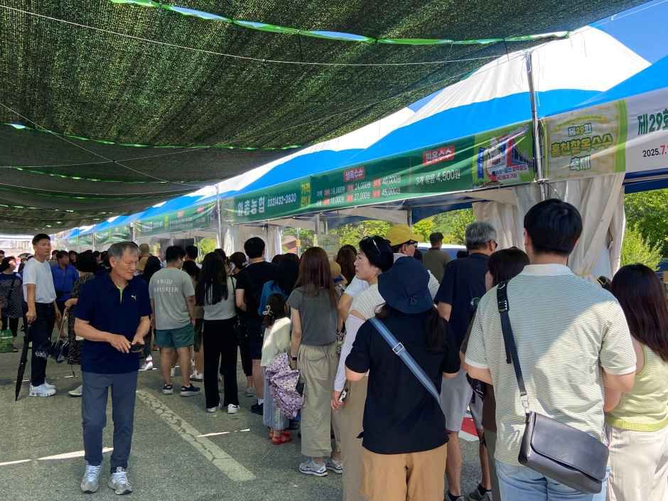 홍천 찰옥수수 축제 관련 이미지 6