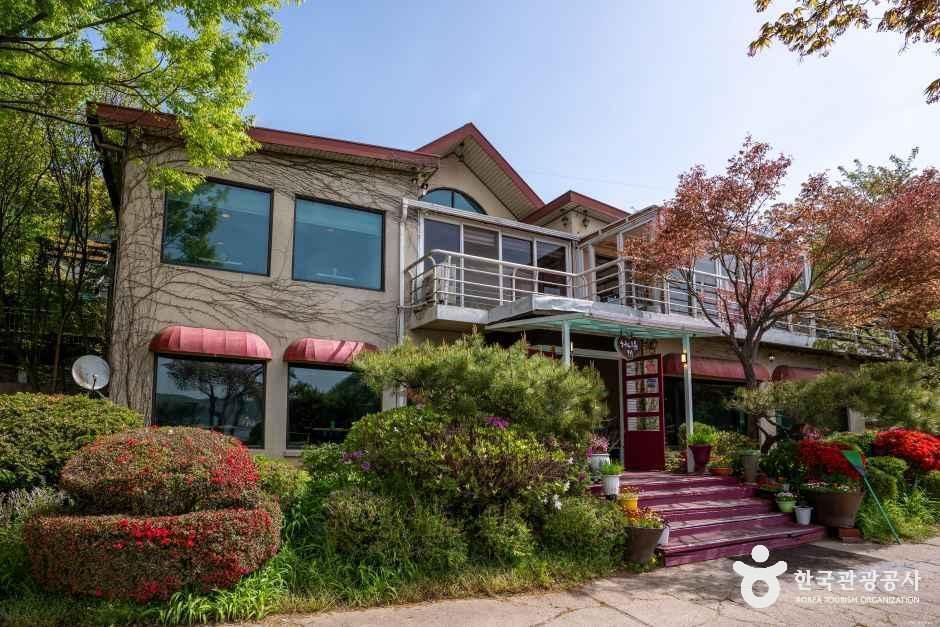 허니듀
