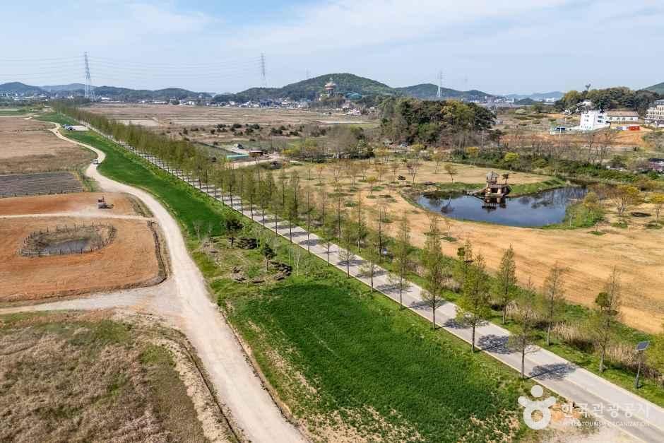 안산_대부도 메타세콰이어길 (7).jpg