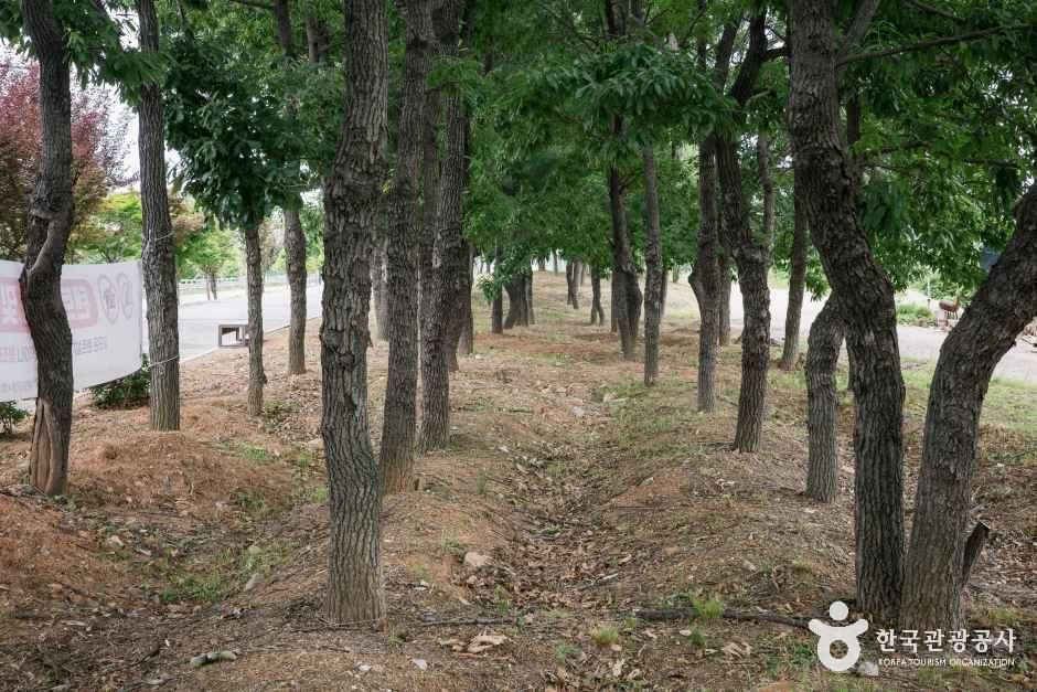 인천_계양_경인아라뱃길 다남공원_외부_7.jpg