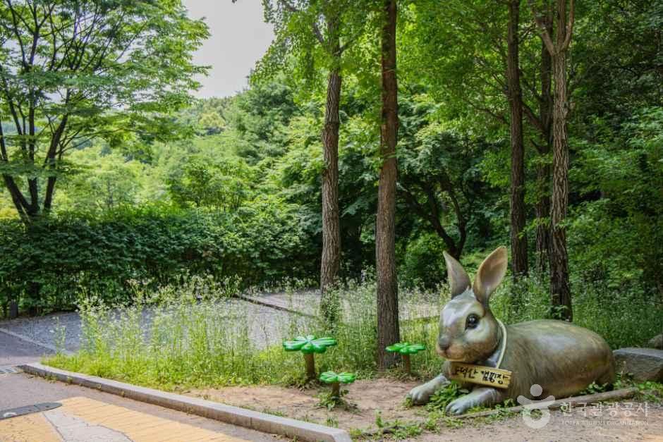 도덕산캠핑장