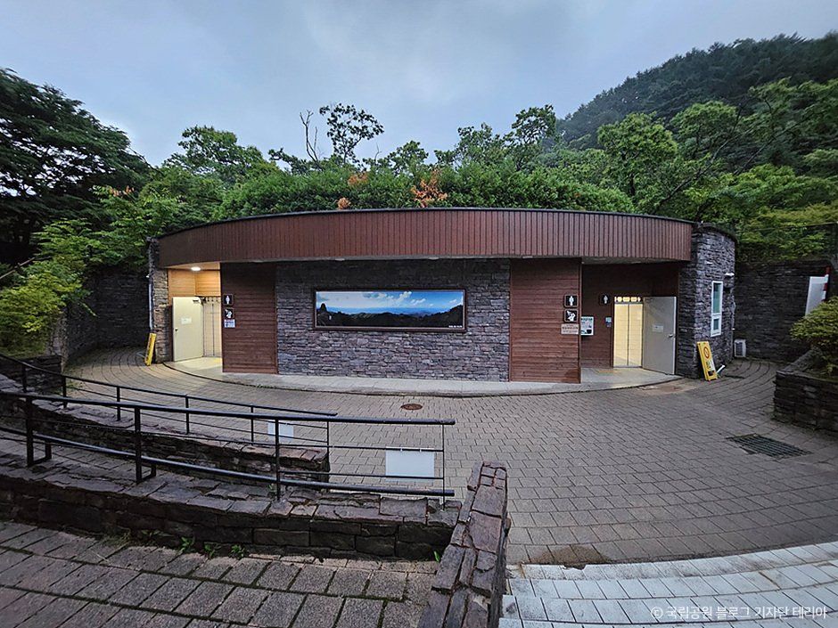 치악산국립공원 금대야영장