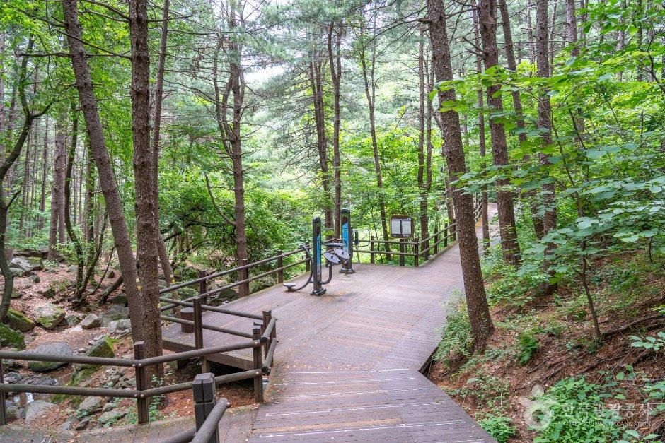경기_의왕시_청계산맑은숲공원 (2).jpg