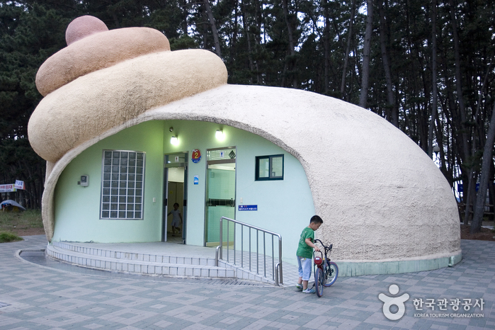 춘장대해수욕장 춘장대해수욕장