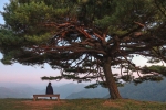 육십마지기 여행 추천 - 로드트립