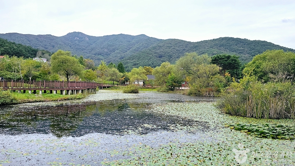 Seonunsan Ecological Forest